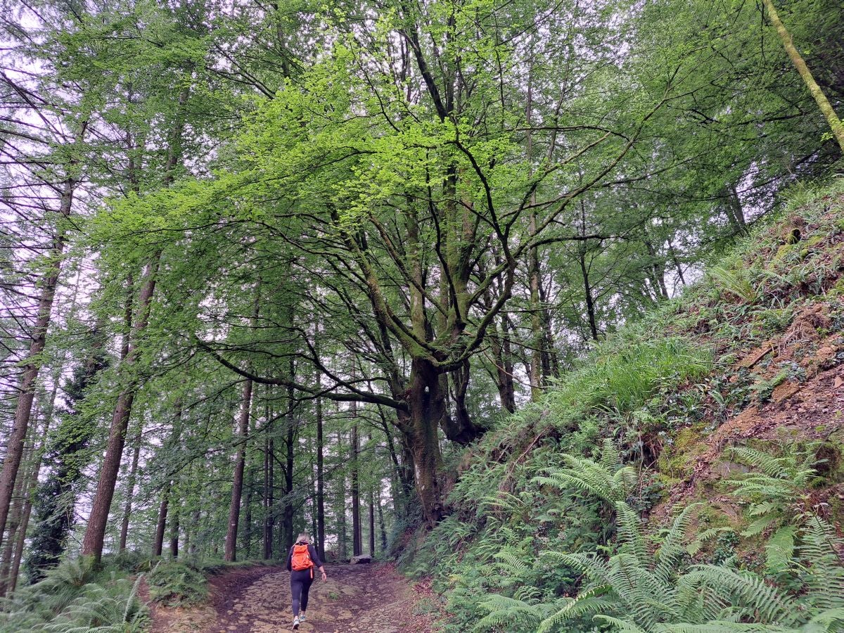 Xoxote, en el corazón de Izarraitz