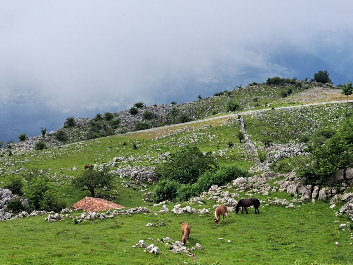 Xoxote, en el corazón de Izarraitz