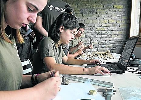 Imagen secundaria 1 - Irulegi inicia su campaña «más ambiciosa»