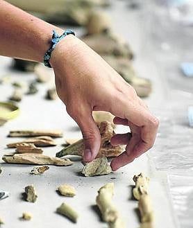 Imagen secundaria 2 - Irulegi inicia su campaña «más ambiciosa»