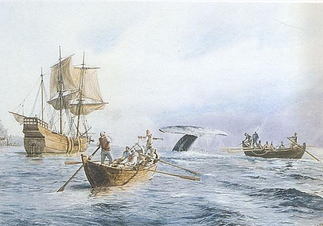 Caza de la ballena en Terranova.
