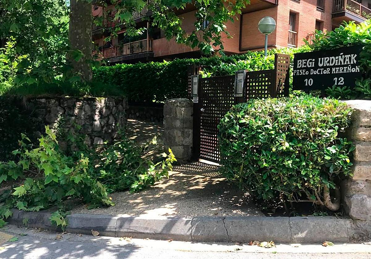 Hay árboles que deben ser podados