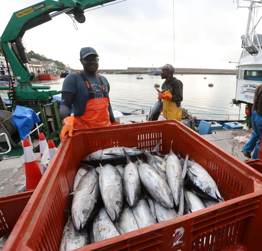 Arranca la campaña del bonito
