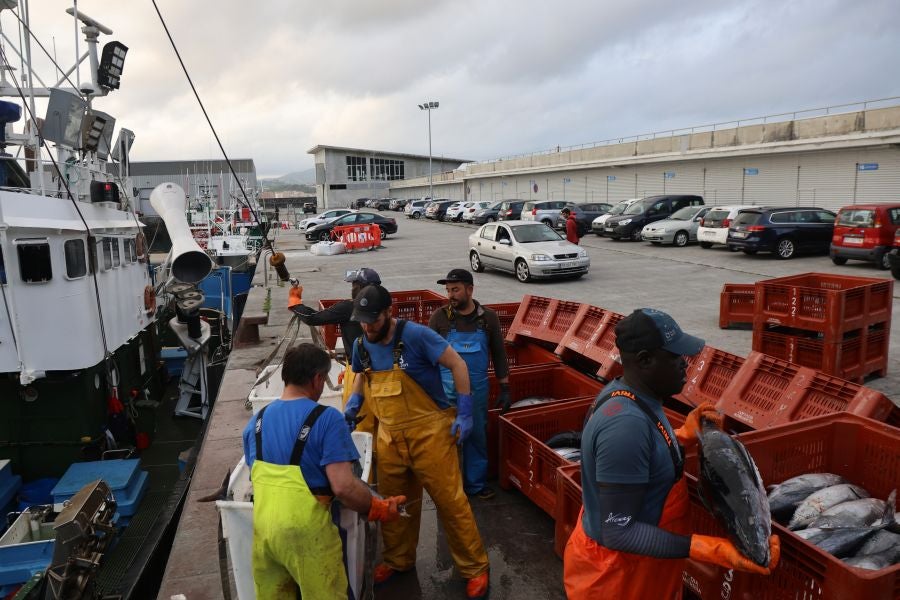 Arranca la campaña del bonito