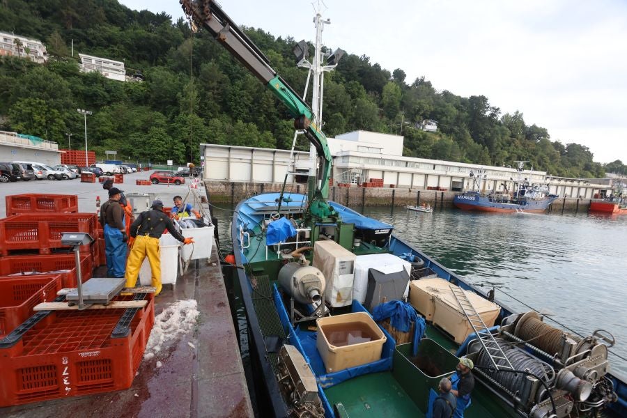 Arranca la campaña del bonito