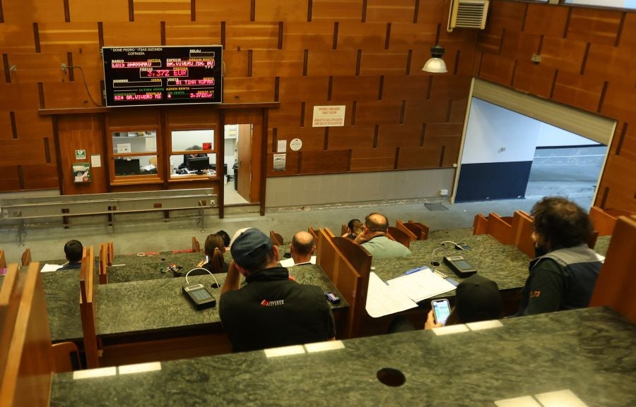 Arranca la campaña del bonito