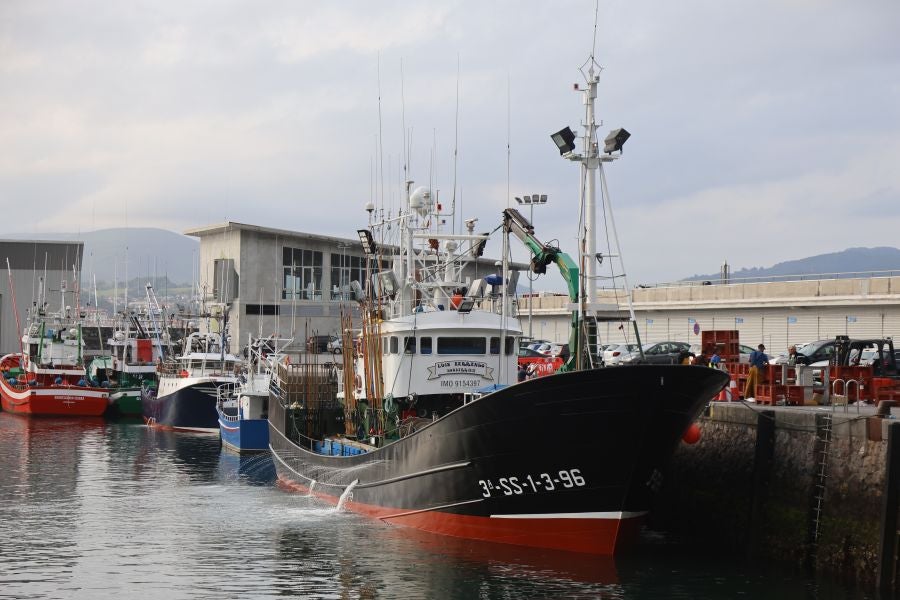 Arranca la campaña del bonito