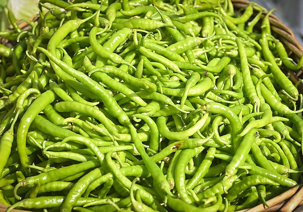 Un cesto lleno de piparras en la feria de Ibarra.