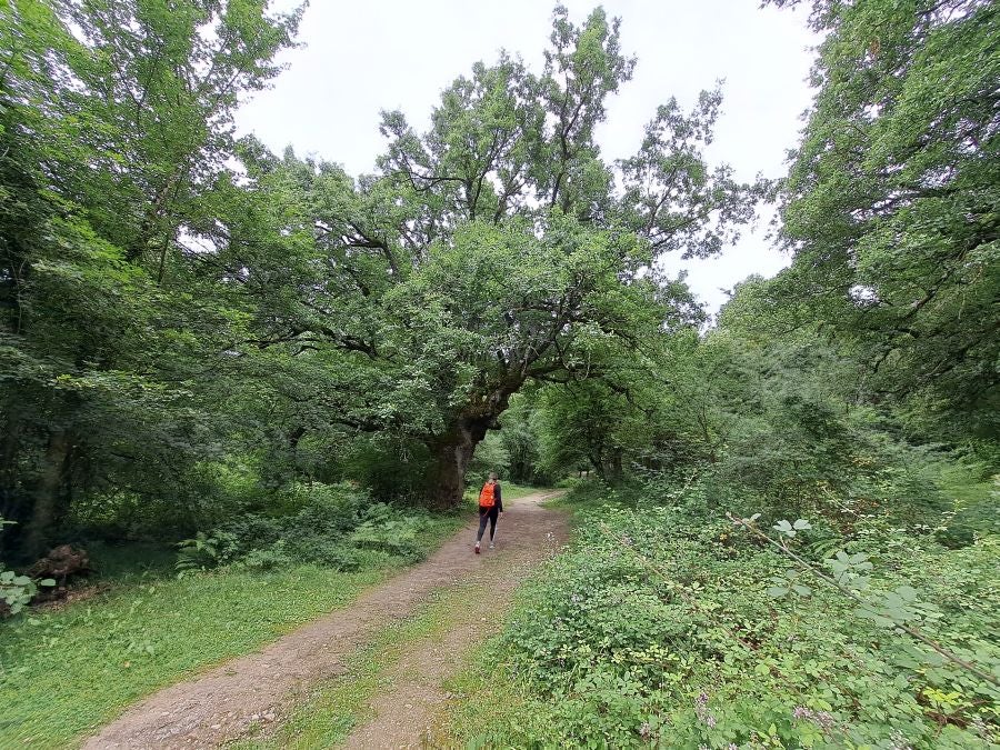 El suave manto de Belleku