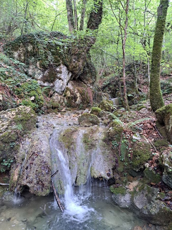 El suave manto de Belleku