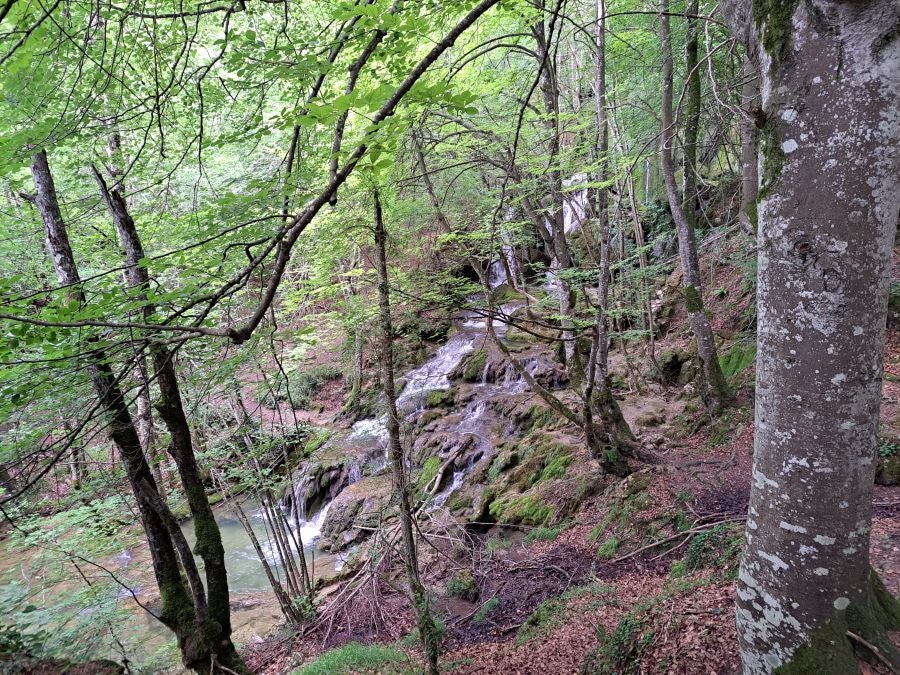 El suave manto de Belleku