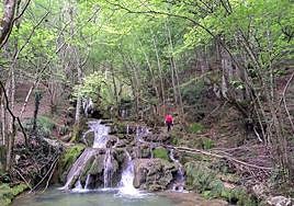 Impresionante la belleza de las cascadas de La Toberia.