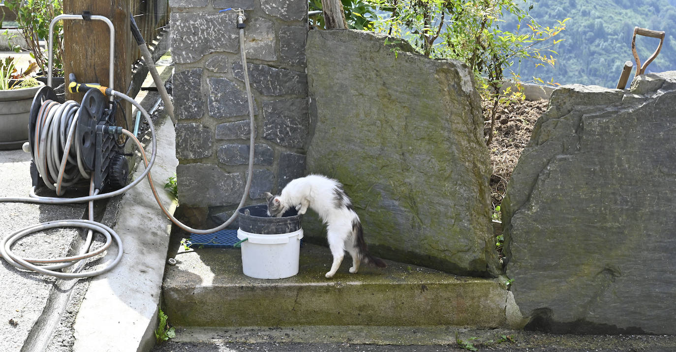 Visita guiada a Primo Etxeberria