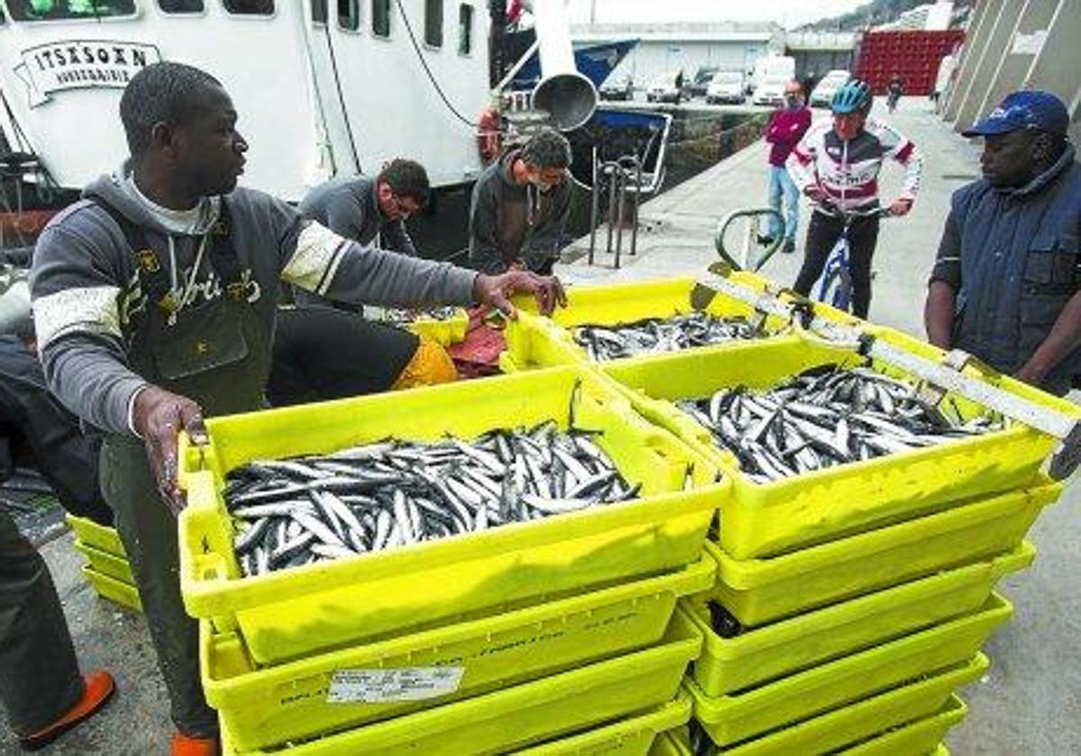 Arrantzales inmigrantes en el puerto de Hondarribia