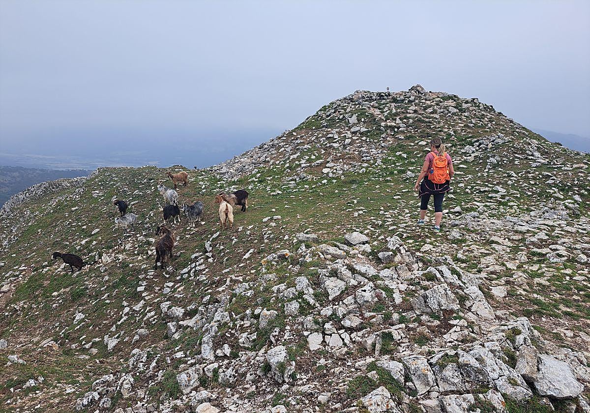 Exigente subida a Txurregi