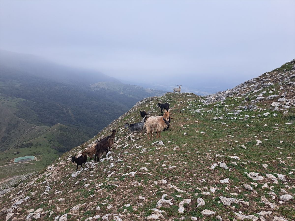Exigente subida a Txurregi