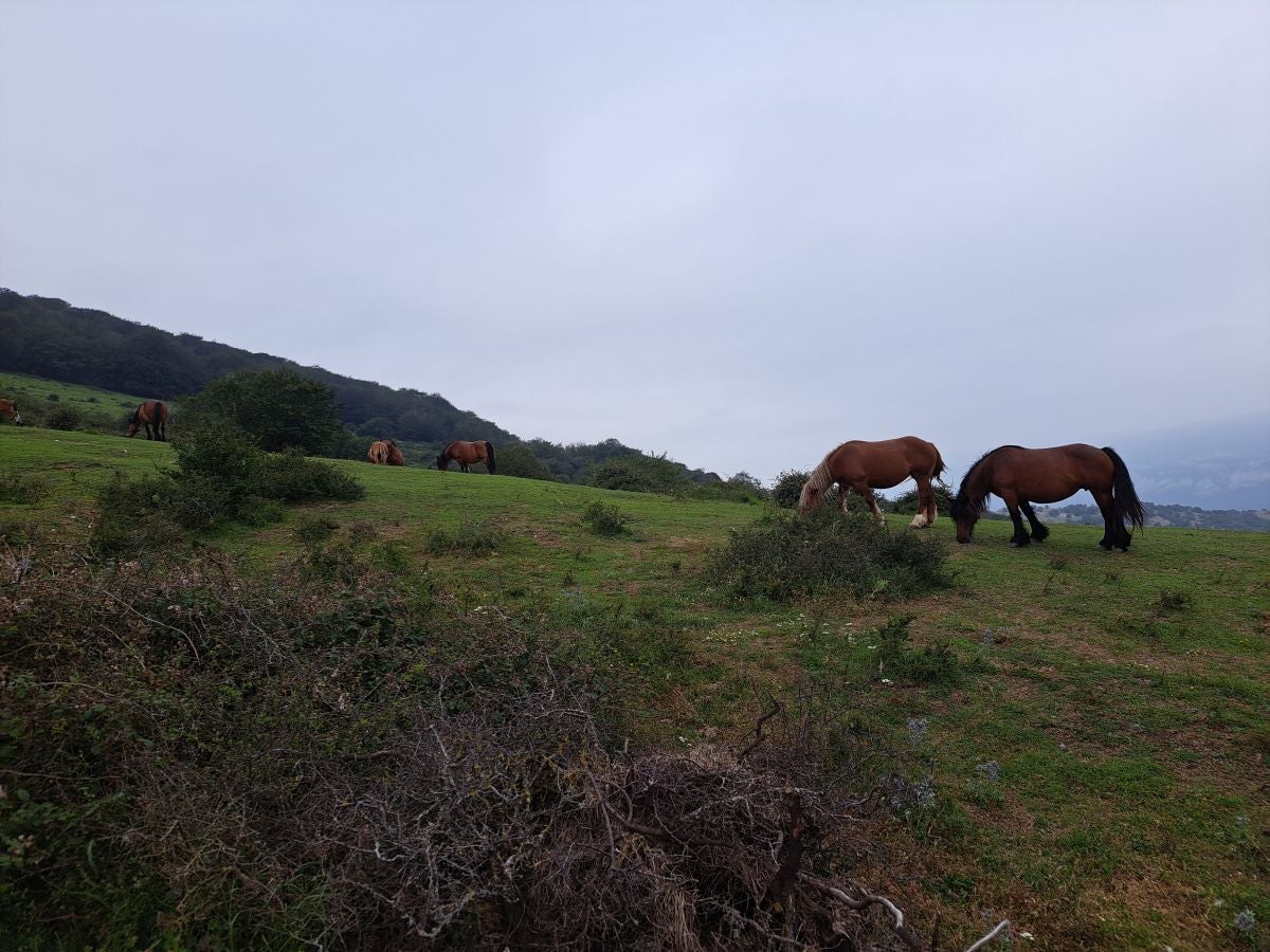 Exigente subida a Txurregi