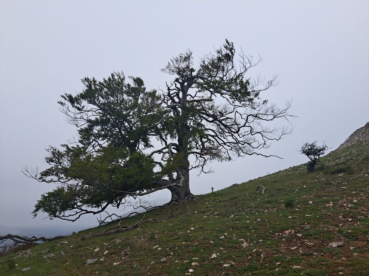 Exigente subida a Txurregi