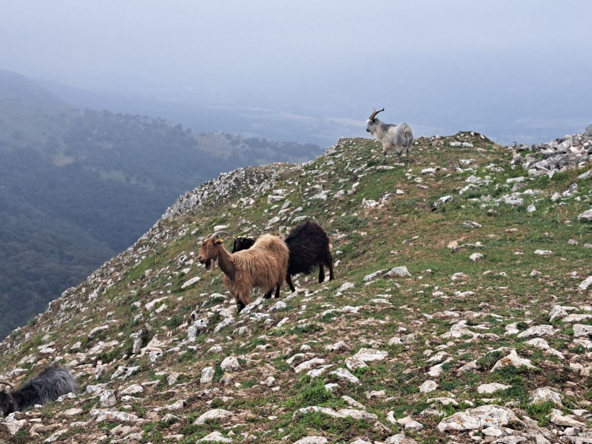 Exigente subida a Txurregi