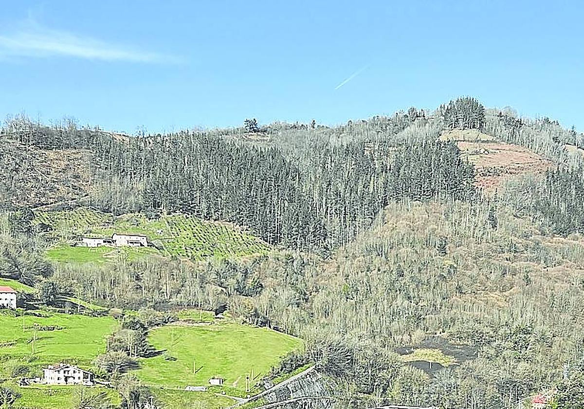 Nuevas empresas y traslados en Eibar se tratan de apoyar.