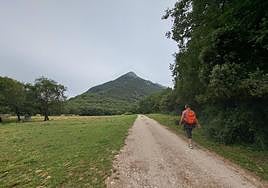 Al fondo, Txurregi nos mira silenciosa mientras avanzamos por una pista forestal