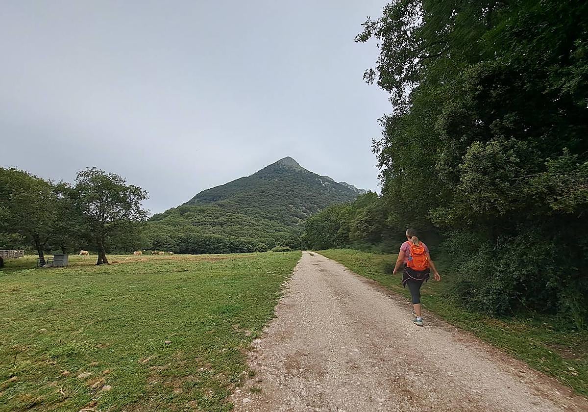 Al fondo, Txurregi nos mira silenciosa mientras avanzamos por una pista forestal