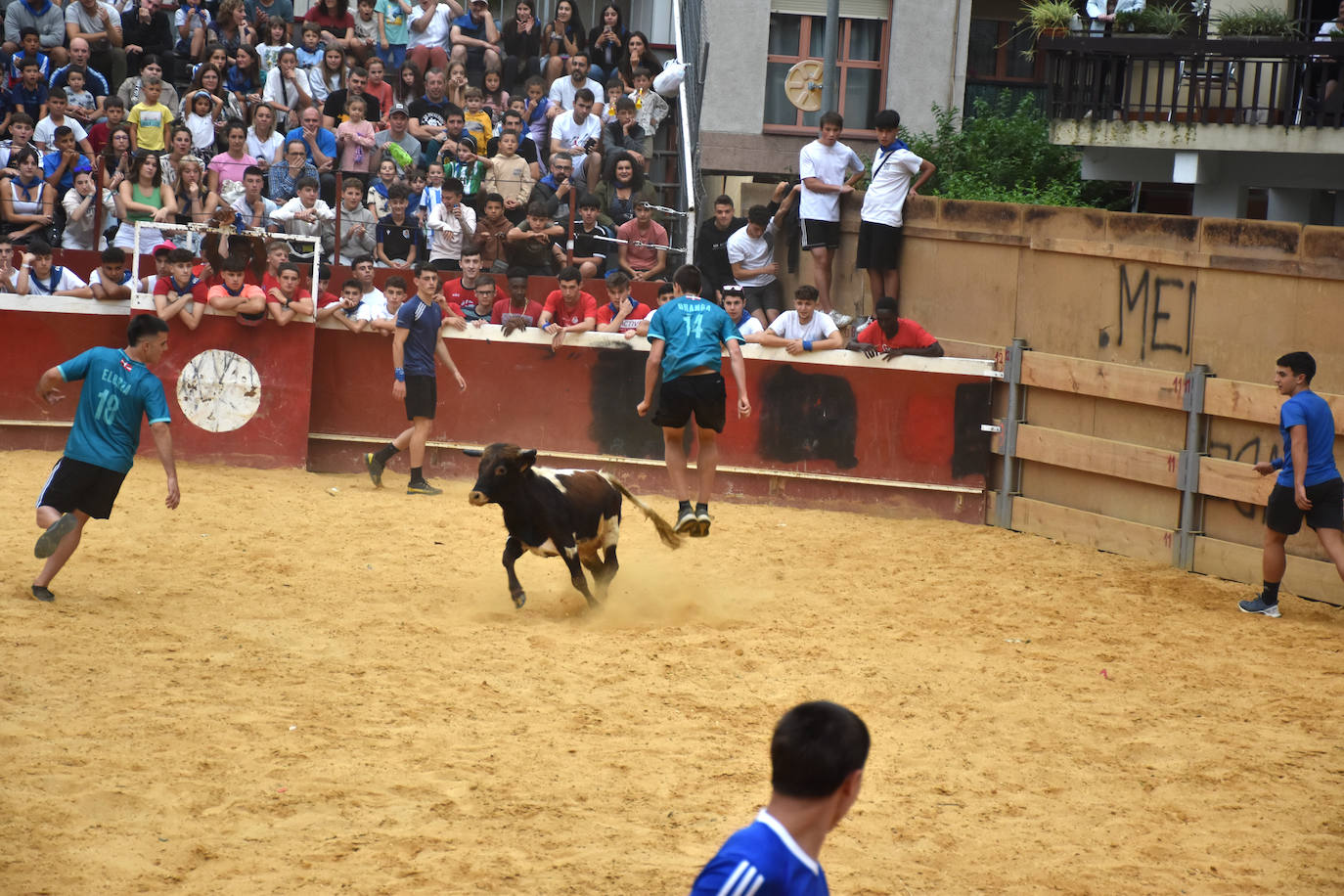 La plaza se llenó para presenciar el campeonato de fútbol-vaca este lunes por la tarde en el que las vaquillas fueron las protagonistas.