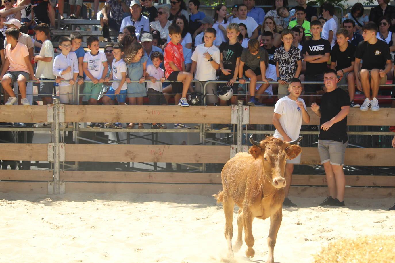 Solemnidad en el día de San Ignacio