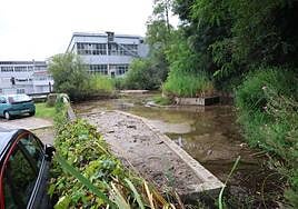 La charca se encontraba ayer prácticamente vacía.