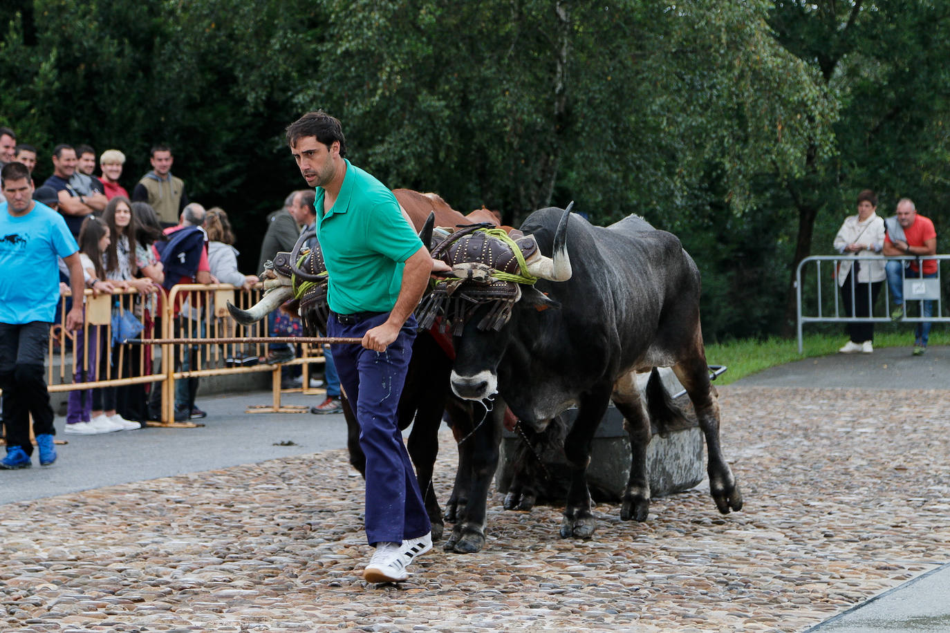 Baserritar eguna, beti berezia Oiartzunen