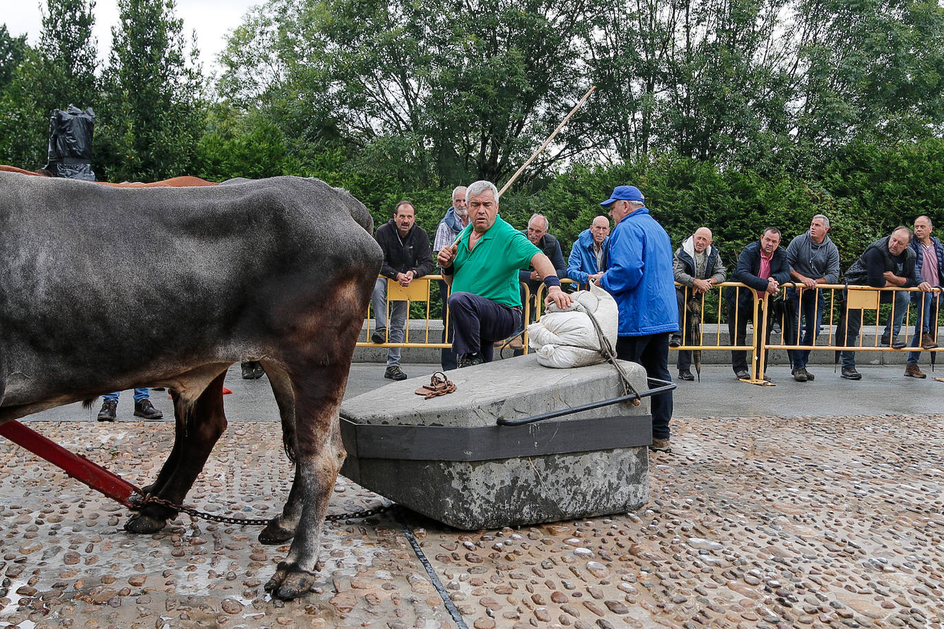 Baserritar eguna, beti berezia Oiartzunen