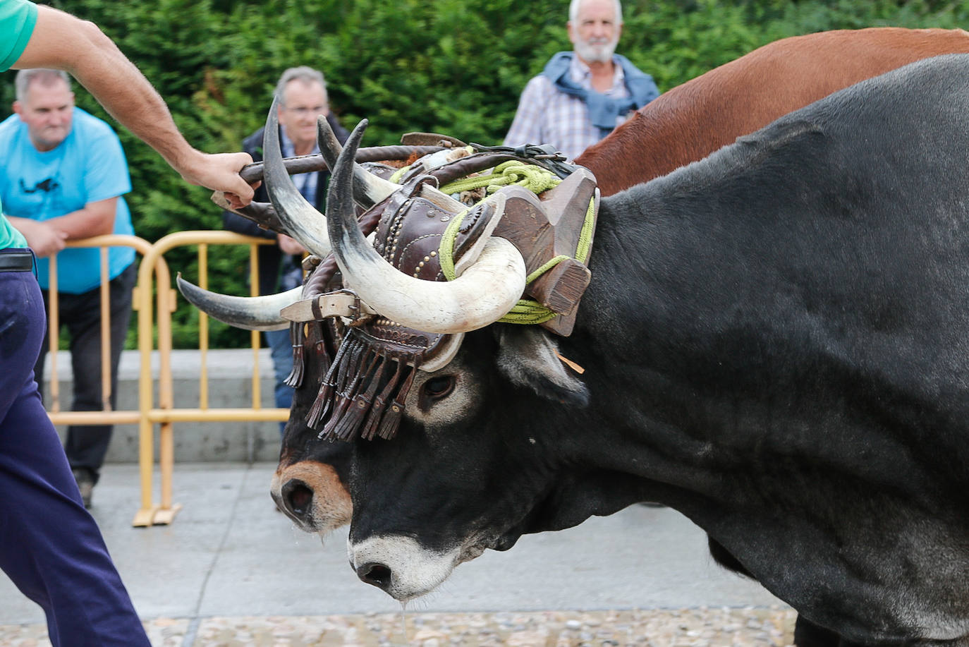 Baserritar eguna, beti berezia Oiartzunen