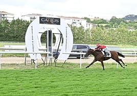 'Sir Polo', con la monta de Fernández, se dispone a rebasar la línea de meta en solitario ayer en el hipódromo donostiarra demostrando todo su valor.