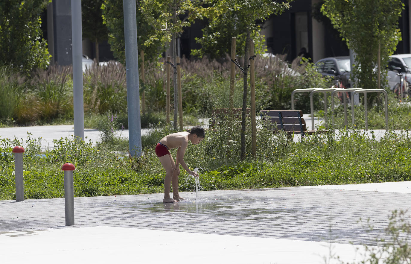 Los chapuzones y la sombra, los mejores aliados para evitar el sofoco