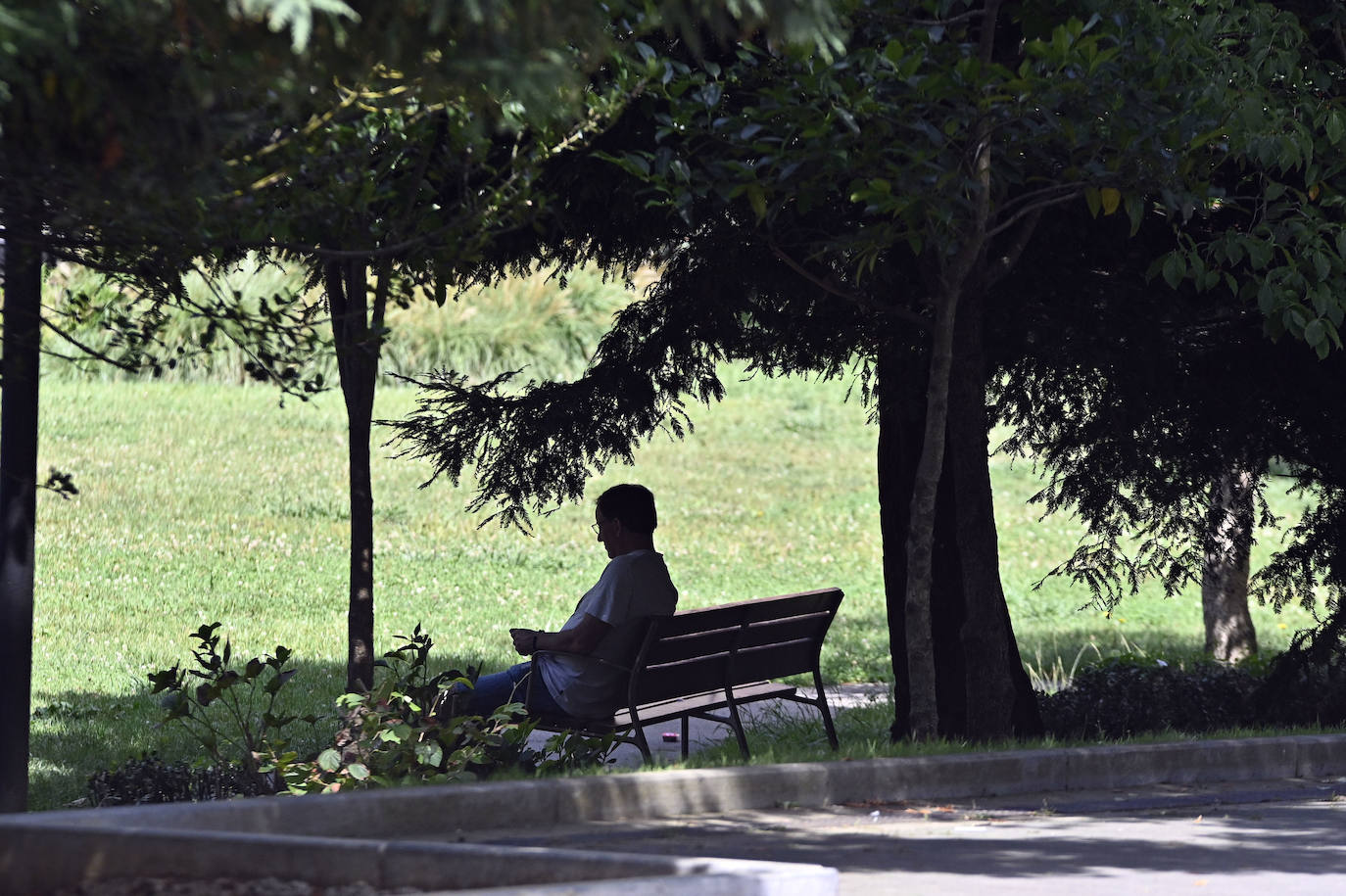 Los chapuzones y la sombra, los mejores aliados para evitar el sofoco