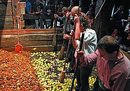 Sagarra zanpatu eta zukua ateratzen ikasiko dute bisitariek.