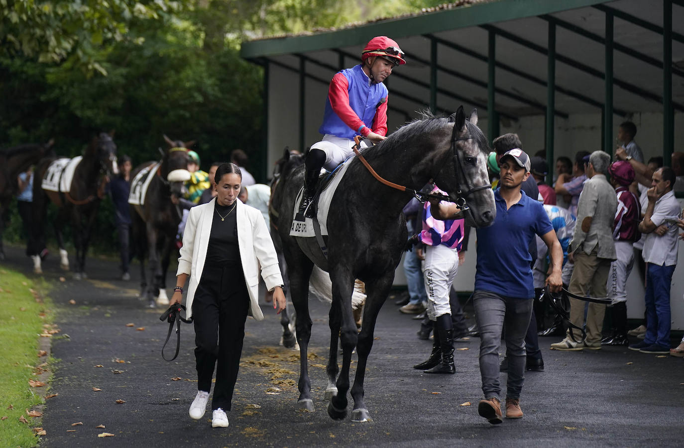 Una Copa de Oro llena de prestigio