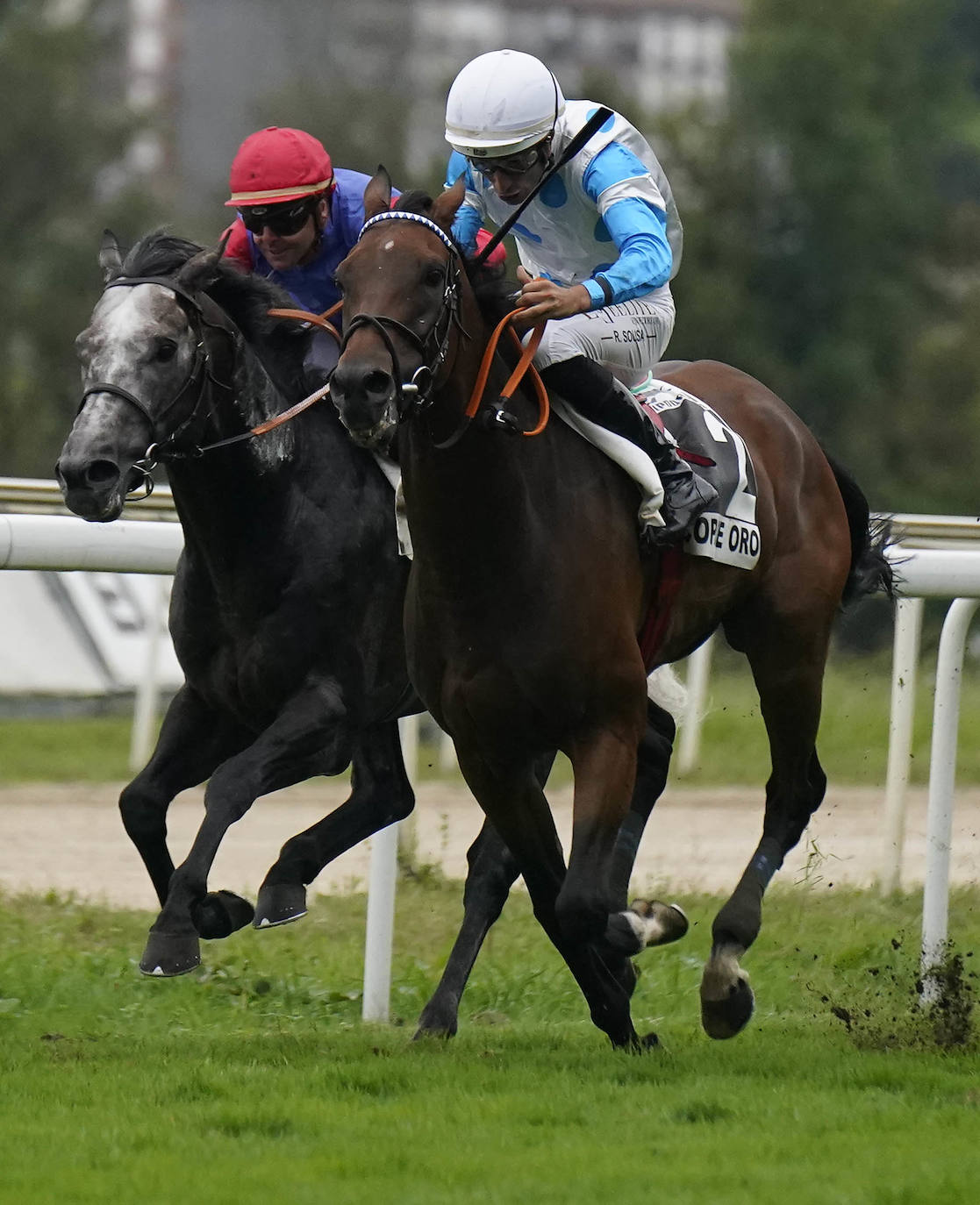 Una Copa de Oro llena de prestigio