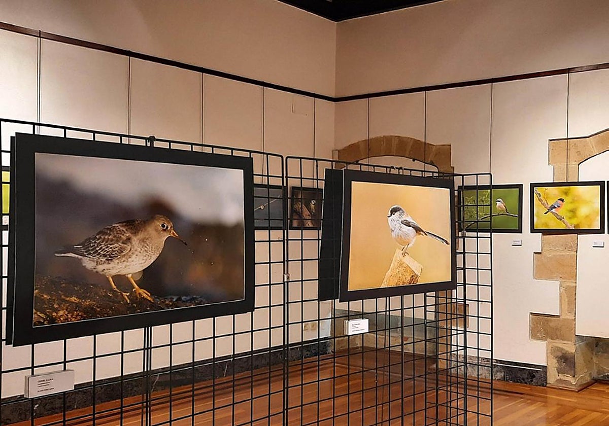 Gipuzkoako hainbat herritan egon da dagoeneko erakusketa, esaterako, Mutrikun.