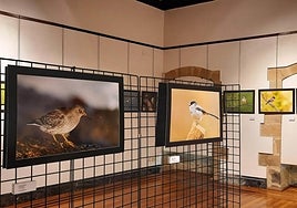 Gipuzkoako hainbat herritan egon da dagoeneko erakusketa, esaterako, Mutrikun.