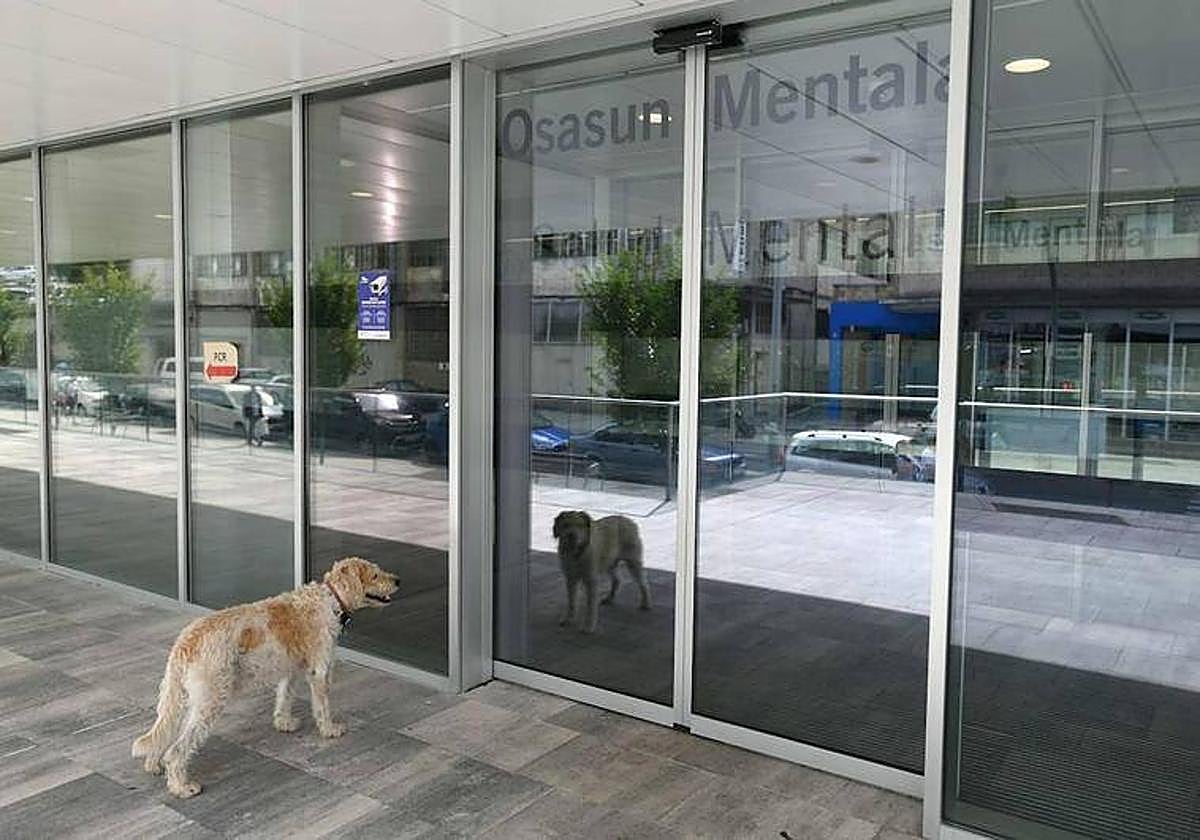 Un perro espera en la puerta de entrada de la Unidad de Salud Mental del Hospital de Eibar.