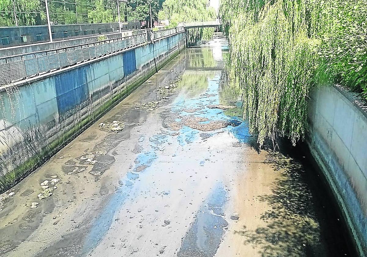 Escribe Fernando: «Llevamos bastantes años con olores terribles en la regata de Ibaeta, en la zona que está descubierta. Todo lo que hay en los dos colectores cubiertos está corrompido. No se ha limpiado nunca. Hace unos 20 años hubo un proyecto de cubrir dicha regata, por tanto pido a los políticos que se encargan del tema y tomen cartas en el asunto».