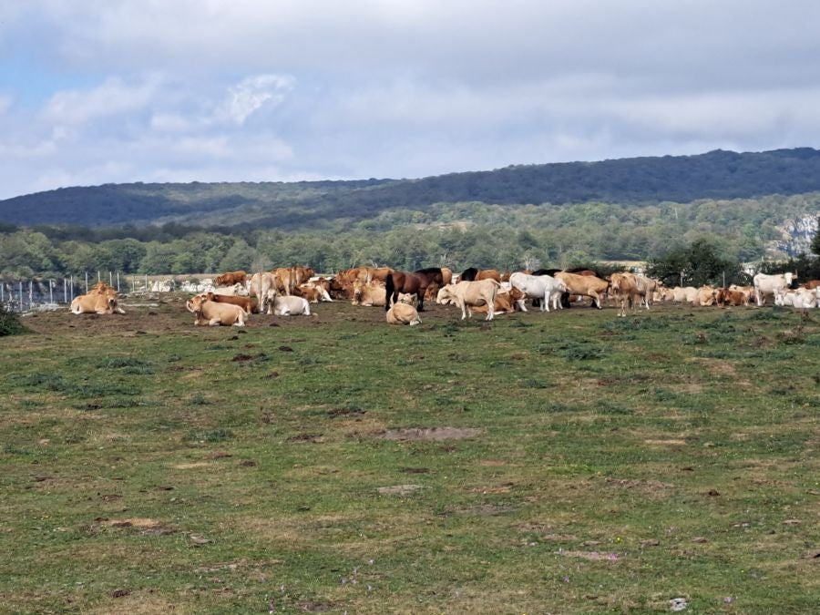 Bertzeta, espectaculares vistas al nacedero del Nervión