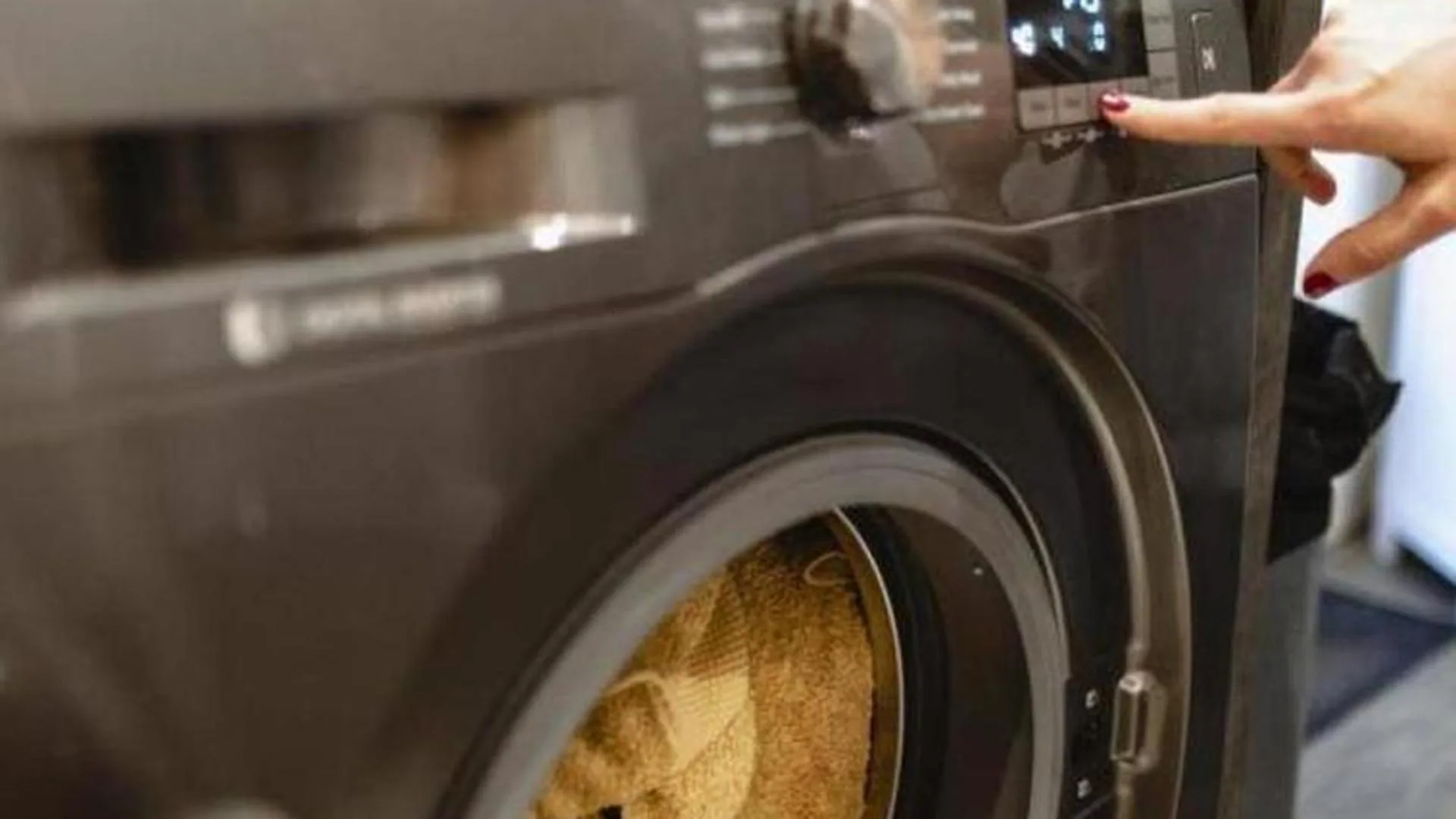 Price of electricity: Save on your electricity bill today by putting the washing machine on at this time