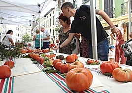 Lehen ediziotik jende asko erakarri ohi du Aretxabaletara Tomatearen Asteak.