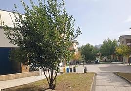 Al parecer, todo sucedió en las inmediaciones del frontón del barrio.