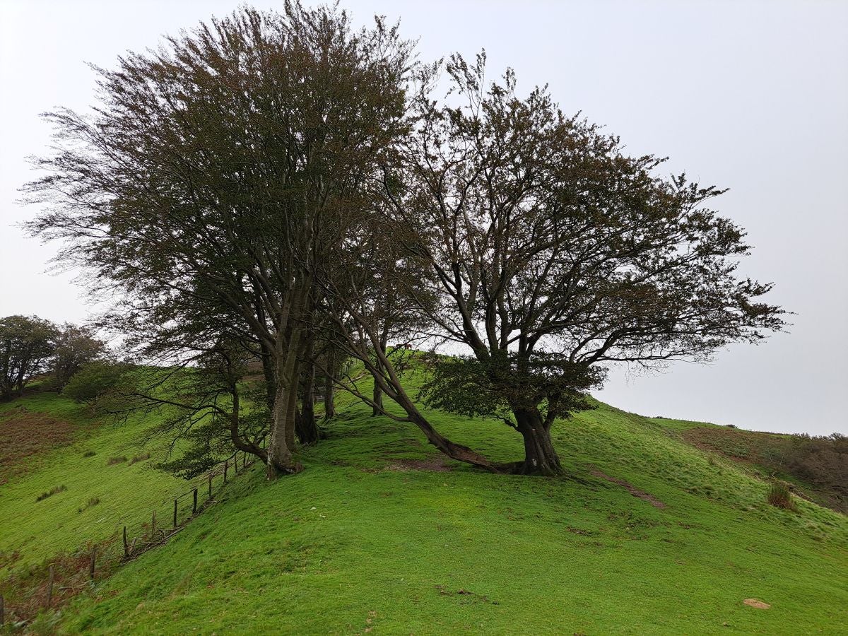 La ruta a la cima de Bianditz, en imágenes