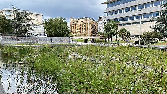 El estanque de Atotxa invadido por ramas y mosquitos