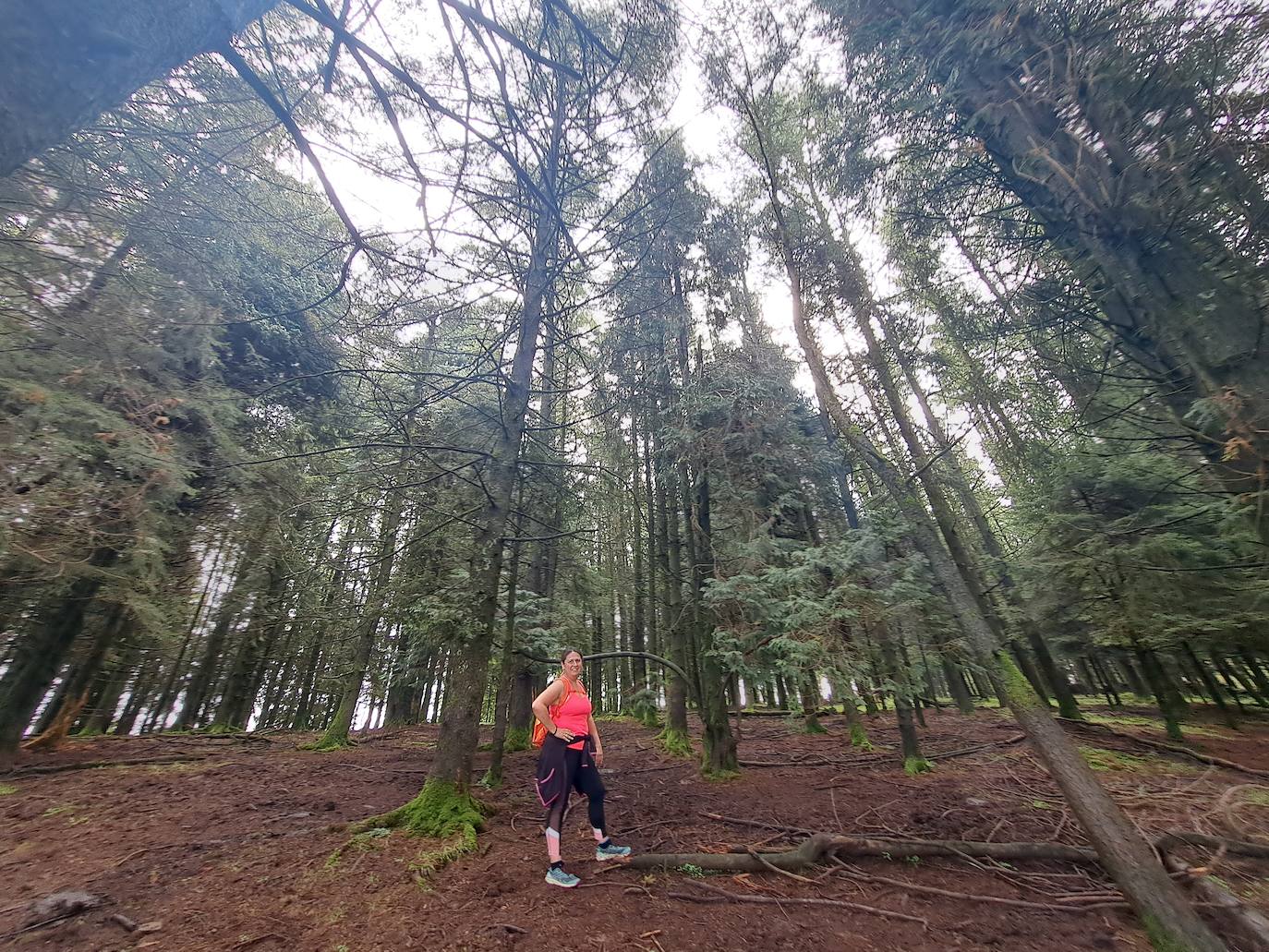 Urraki, un paisaje para disfrutar en Otoño