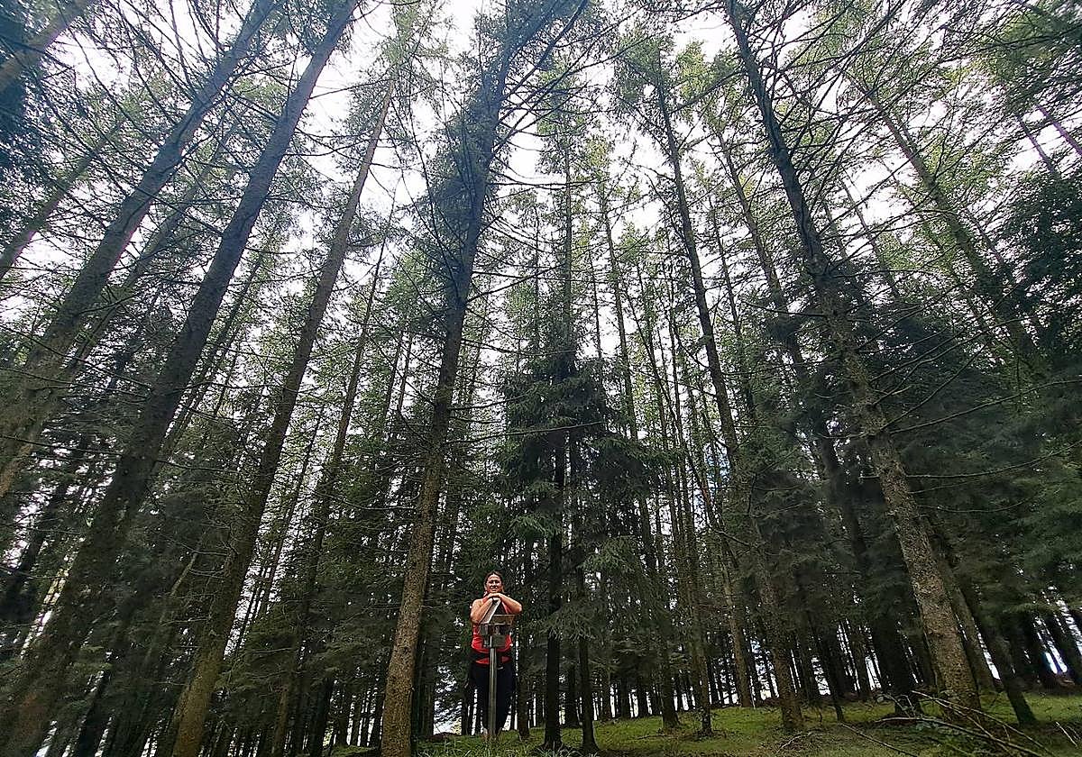 Urraki, un paisaje para disfrutar en Otoño